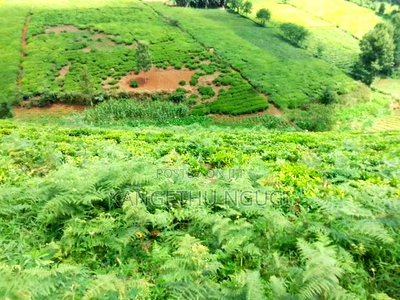 One Acre Parcel of Land Kambaa Githunguri - Image 4