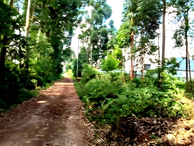 One Acre Parcel of Land Kambaa Githunguri
