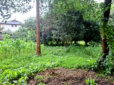1 Acre Available Land for Sale in Gikambura - Image 4