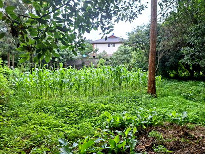 1 Acre Available Land for Sale in Gikambura - Image 5