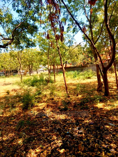 For Sale 1 Acre Prime Land Old Nyali - Image 4