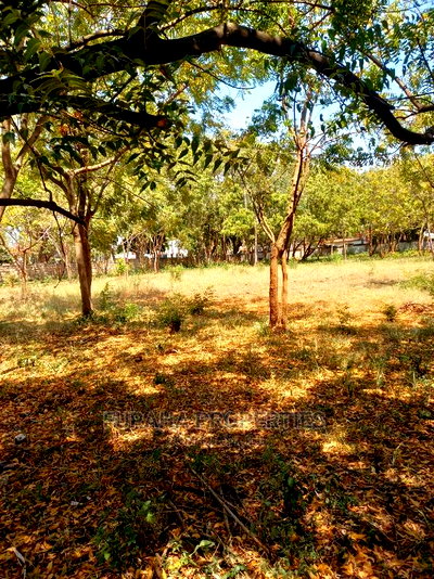 For Sale 1 Acre Prime Land Old Nyali - Image 3
