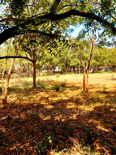 For Sale 1 Acre Prime Land Old Nyali - Image 5