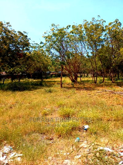 For Sale 1 Acre Prime Land Old Nyali - Image 8
