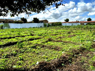 Mombasa Road - Image 17