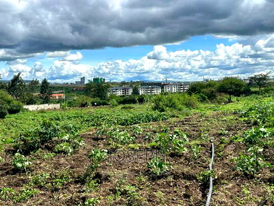 Mombasa Road - Image 9