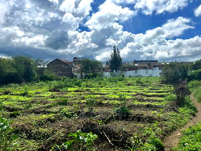 Mombasa Road - Image 16