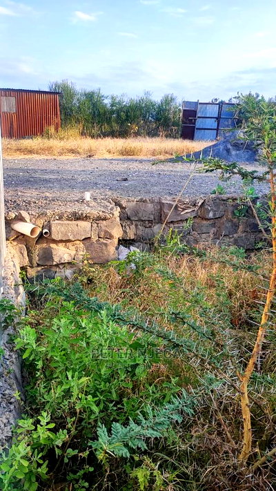 50x100 Plot in Noonkopir Kitengela at 1.2m - Image 4