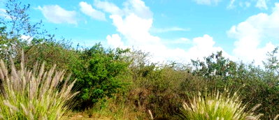 Quarter-Acre Plot with Dam Access - Kijani Ridge, Tatu City