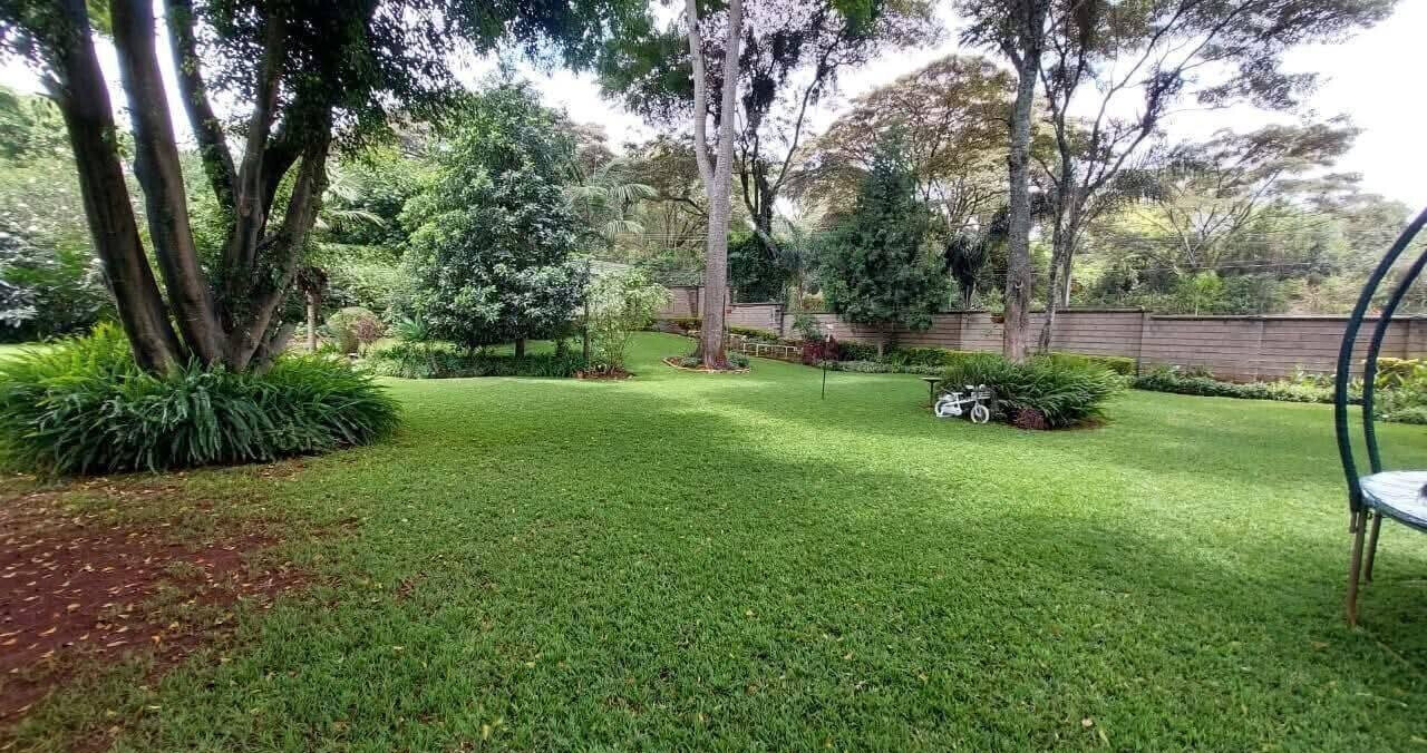 5-Ensuite Townhouse with DSQ on Half-Acre – Karen Miotoni