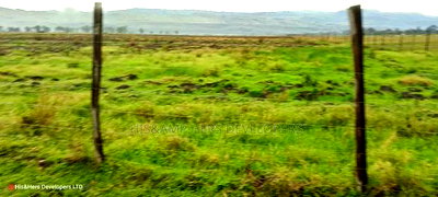 13 Acres on Sale, Ideal for Gated Community With Title Deed - Image 3