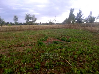 Plots for Sale at Ngecha Njoro - Image 4