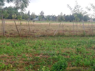 Plots for Sale at Ngecha Njoro - Image 3