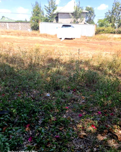 Pet Friendly Quarter Acre in Utawala