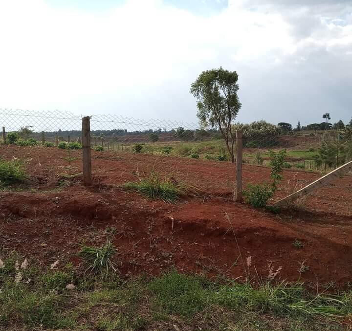 1/2 Acre Dew Ridge Plot for KSh 11M