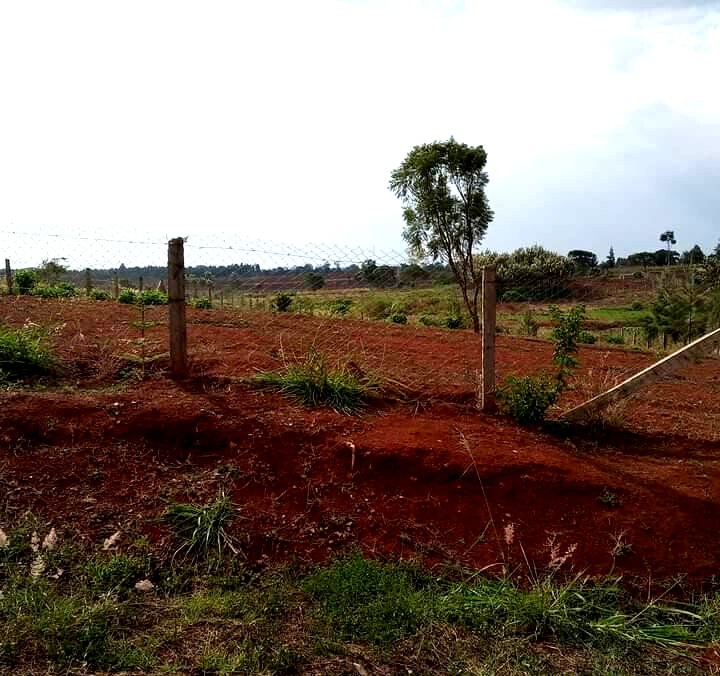 1/2 Acre Dew Ridge Plot for KSh 11M