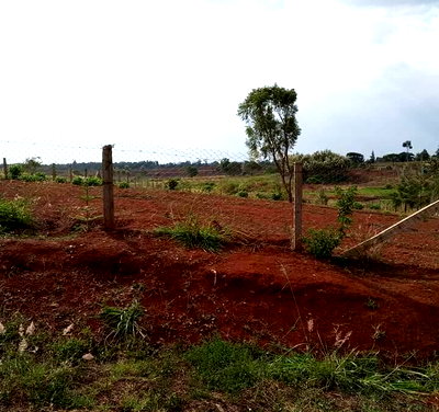 1/2 Acre Dew Ridge Plot for KSh 11M