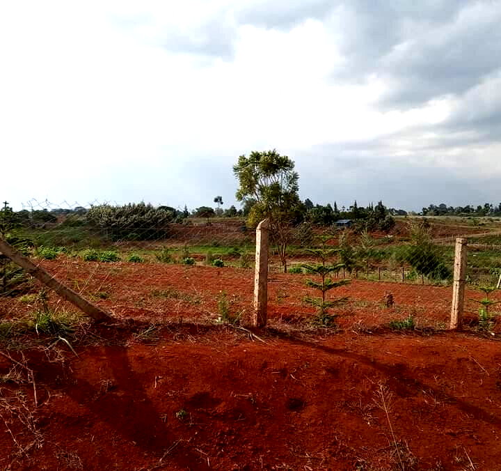 1/2 Acre Dew Ridge Plot for KSh 11M