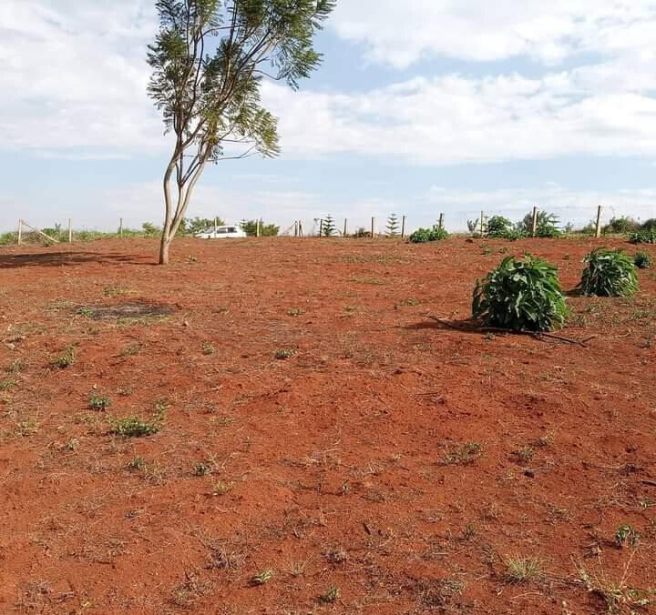 1/2 Acre Dew Ridge Plot for KSh 11M