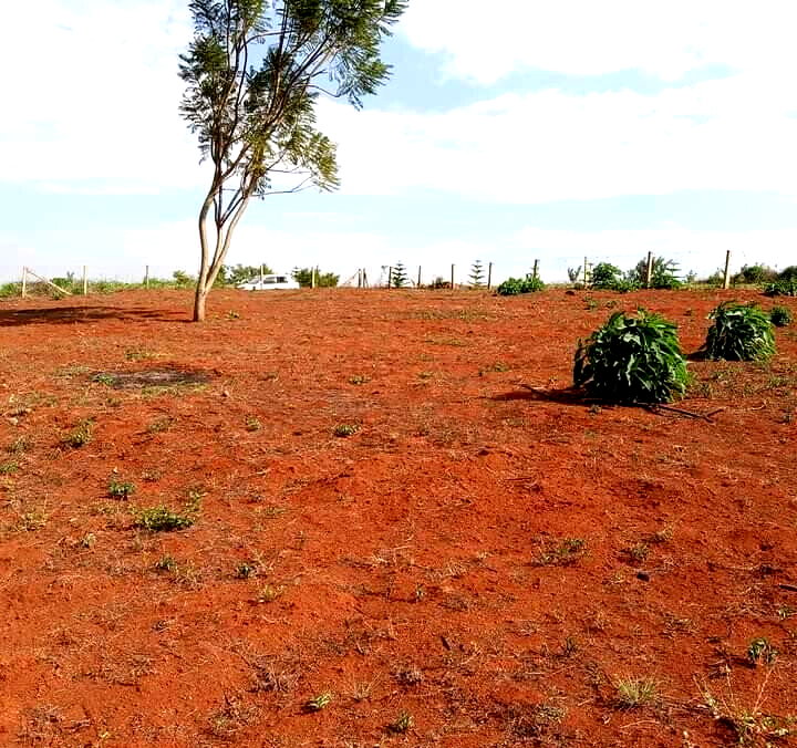 1/2 Acre Dew Ridge Plot for KSh 11M