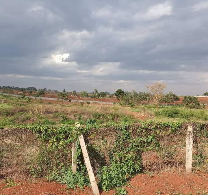 1/2 Acre Dew Ridge Plot for KSh 11M