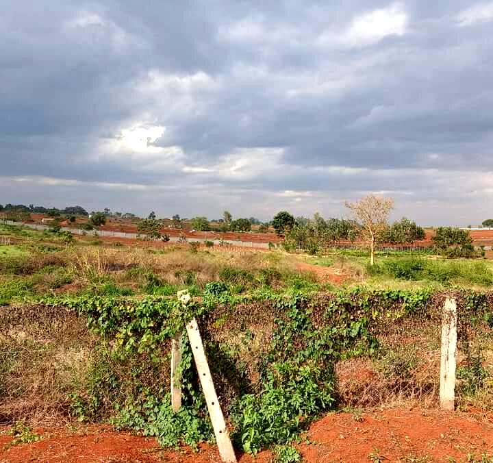 1/2 Acre Dew Ridge Plot for KSh 11M