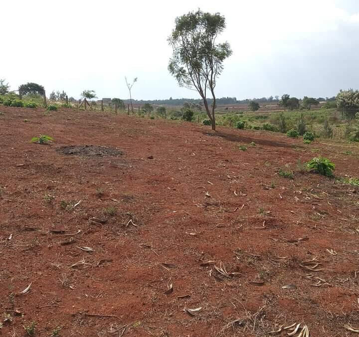 1/2 Acre Dew Ridge Plot for KSh 11M