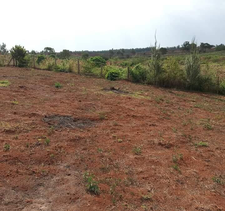 1/2 Acre Dew Ridge Plot for KSh 11M