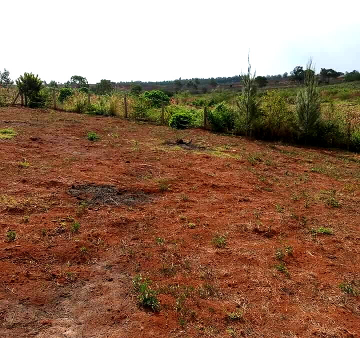1/2 Acre Dew Ridge Plot for KSh 11M