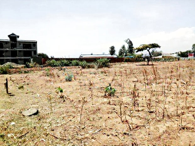 50*100 2nd Row Plot for Sale in JB Pipeline, Nakuru