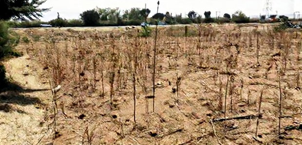 50*100 2nd Row Plot for Sale in JB Pipeline, Nakuru