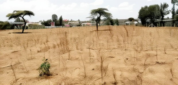 50*100 2nd Row Plot for Sale in JB Pipeline, Nakuru
