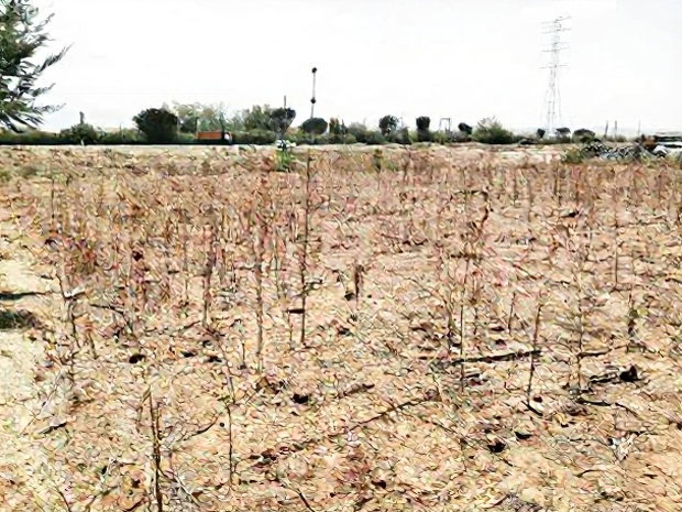 50*100 2nd Row Plot for Sale in JB Pipeline, Nakuru