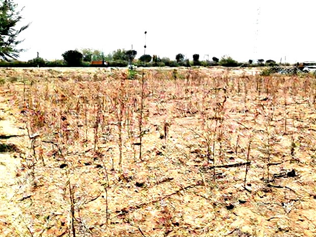 50*100 2nd Row Plot for Sale in JB Pipeline, Nakuru