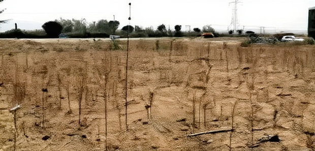 50*100 2nd Row Plot for Sale in JB Pipeline, Nakuru