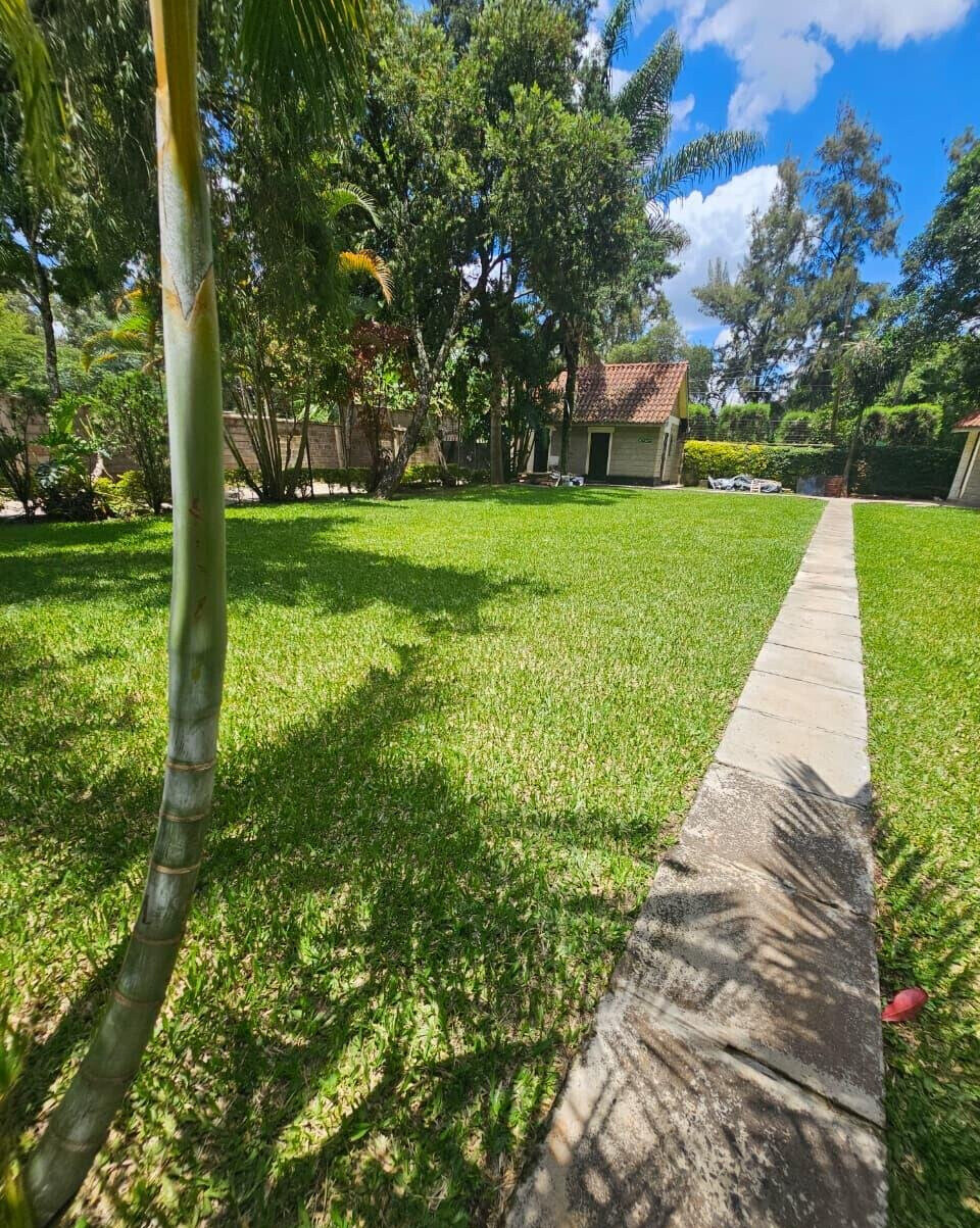 Garden Oasis at KSh 250K