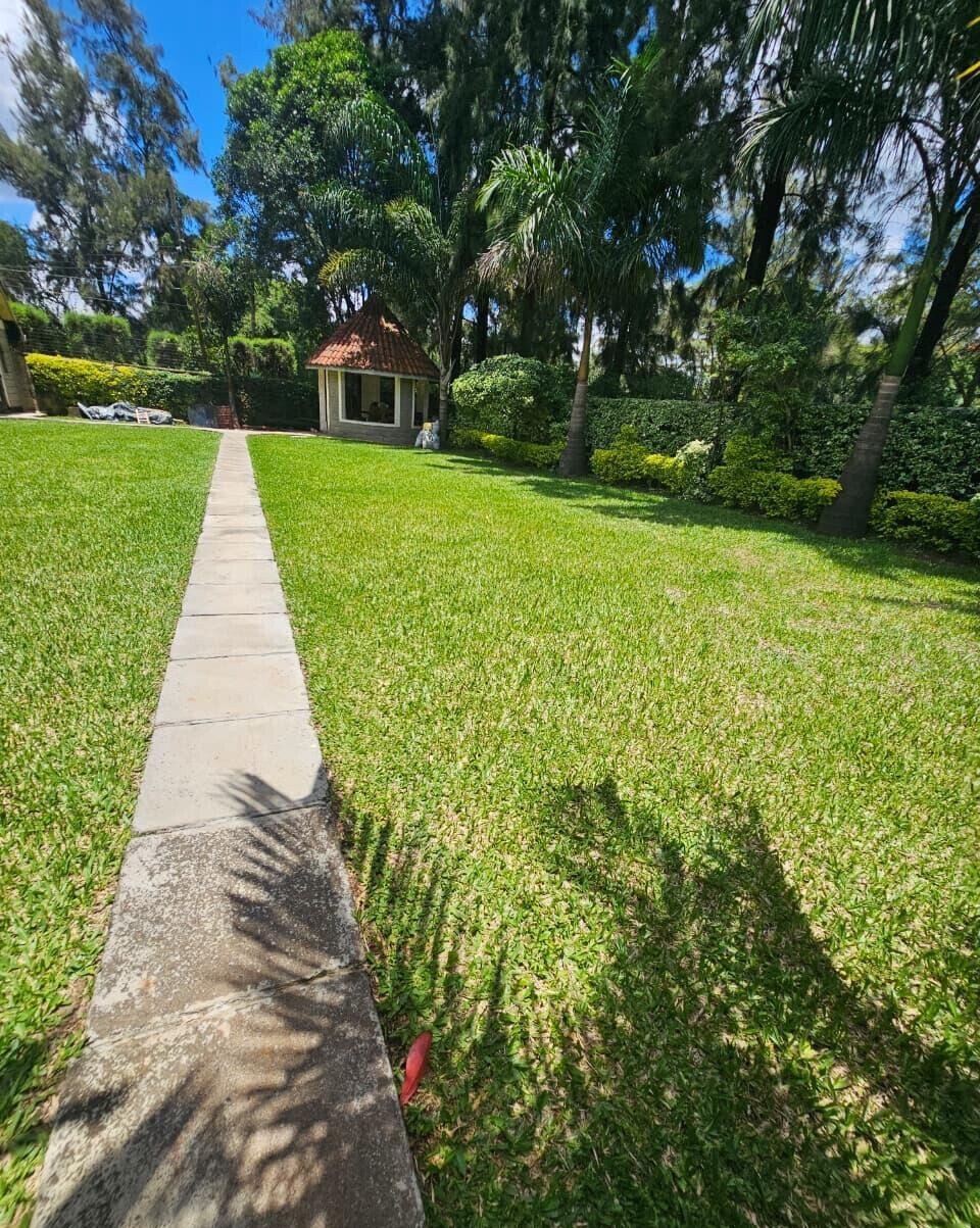 Garden Oasis at KSh 250K