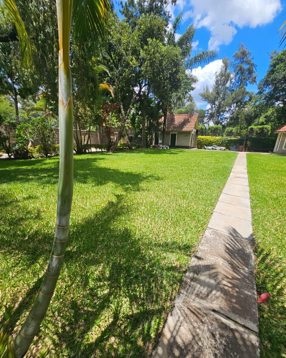 Garden Oasis at KSh 250K