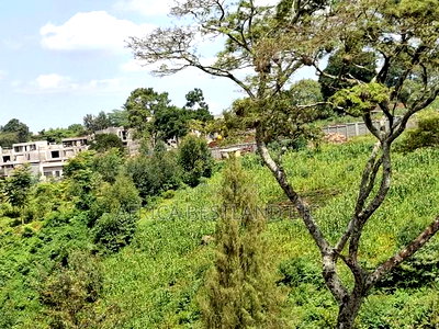 1/2 Acre Land for Sale in Old Kitisuru - Image 5