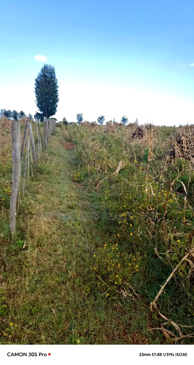 One Under 1/2 Acres Kaaboi With Title