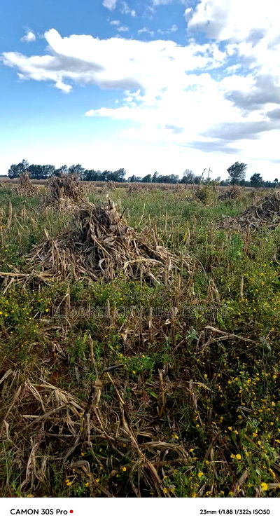 One Under 1/2 Acres Kaaboi With Title - Image 1