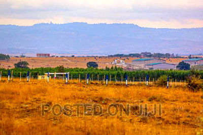 Affordable Kamulu - Katani Plots. - Image 3