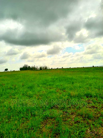 Prime Land on Sale , 10 Acres,Shorinke - Image 7