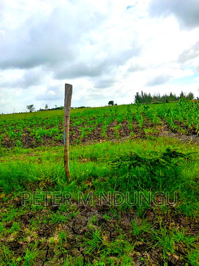 Prime Land on Sale , 10 Acres,Shorinke - Image 6