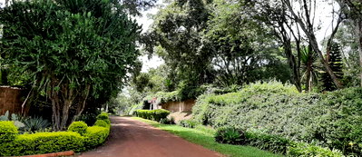 1-Acre Garden Plot with Parking at KSh 160M