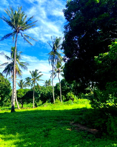 4.5M Farm with River Access