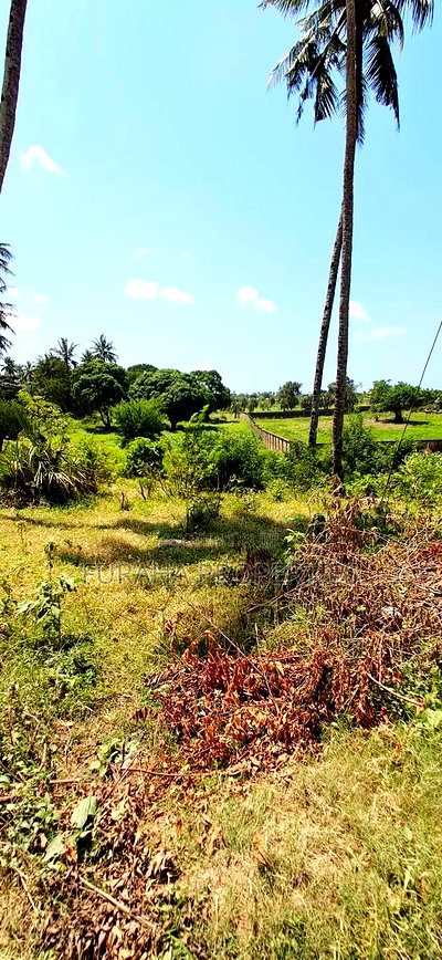 For Sale Quater Acre Plot Kikambala - Image 3