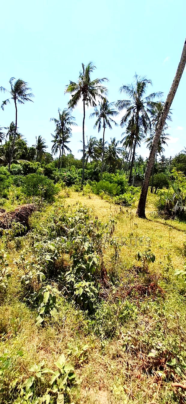 For Sale Quater Acre Plot Kikambala