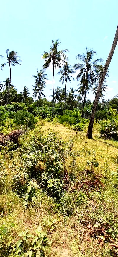 For Sale Quater Acre Plot Kikambala - Image 1