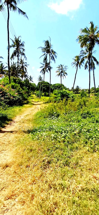 For Sale Quater Acre Plot Kikambala - Image 4